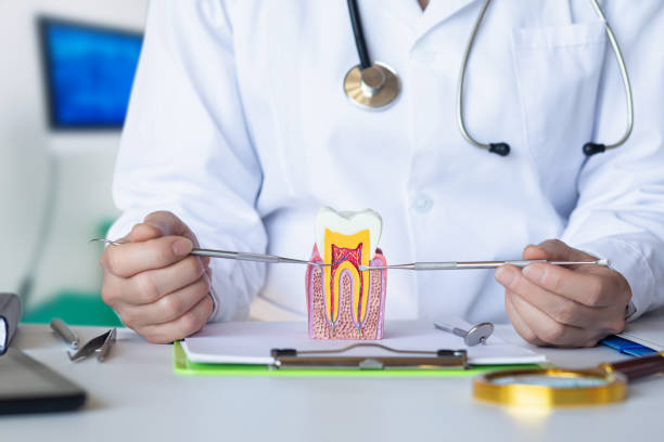 Best Emergency Tooth Extraction in Ferndale, MI